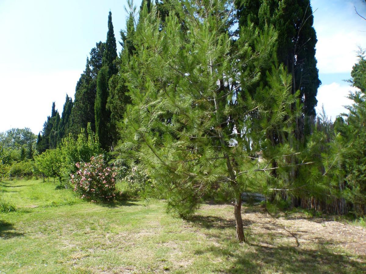Campsite Toscane Saint-Remy-de-Provence